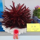 소향농장 이미지