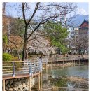 (주)거천 네이버블로그