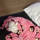 댕글벙글 이미지