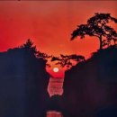 땅끝천년숲옛길 | 서해랑길 1길을 다시 걸어본다(아~땅끝)