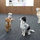 맥스클래스 이미지