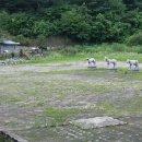 명주군왕릉 이미지