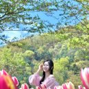 [옥포]옥연지 송해공원 튤립실시간 개화 상태&amp; 후기