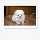 봉선큰약국 이미지