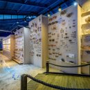 제주해양동물박물관 이미지