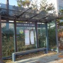 위전1리 이미지