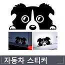 프리티도그 이미지