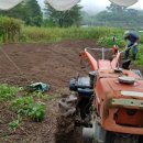 가야농약사 이미지