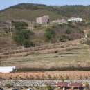 순천평화병원 이미지