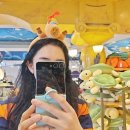 뿌빠노래타운 | [블챌] 가을소풍 최고 장소 에버랜드 코스 추천 정리