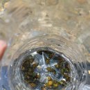 혜원네민박 이미지