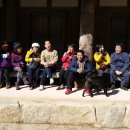 꽃다지 맞은편 이미지