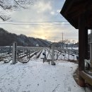 체육시설운동기구 이미지