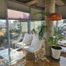 제주하도 이미지