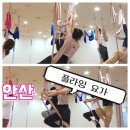 세븐일레븐안산본오제일점 | 안산요가원 플라잉요가 단체수업 재밌는 서커스 사다리 시퀀스 후기
