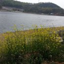 과림낚시터