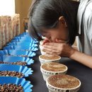 별다섯농장 이미지