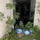 마산합포구 ⓐ-14 | 창원 마산 아로마 헤드스파 힐링 두피관리 후기