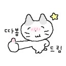 꽃담은강문을담다 이미지