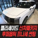 김포현대모터스 | 팰리세이드 신차패키지 후퍼옵틱 프나세 썬팅