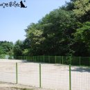 호반애견훈련소 이미지