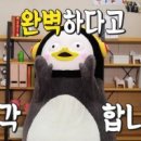꿈에44