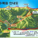 제 522차 경옥봉산행 및 대아 수목원 트레킹 안내 이미지