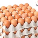 가사농장 이미지