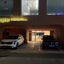 숲속작은민박 | 유리 속 작은 숲 - 테라리움 체험 후기 (망원 숲터 그로브 허브 + 여기 두쫀쿠 팔아요)