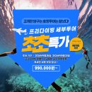 블루웨일 여행사 이미지