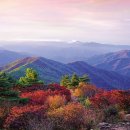 지리산 이미지