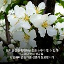 어제보다아름다운