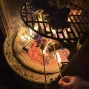 도그트리 | [애견펜션] 양평 메리도그하우스 두 번 다녀온 후기🐾