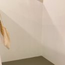 리틀비틀제주삼화점