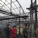 장미농장 이미지