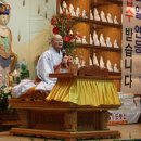 2010년 부처님오신날 자광큰스님의 법문 이미지
