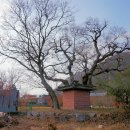 용당동 행정복지센터 이미지