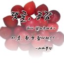 지마켓 캠핑푸드 춘천총각닭갈비