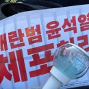 우리 방석이들이 만들어 낸 민주주의 이미지