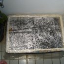 금송하우스 이미지