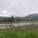210902 폭우에 드러난 강물. 죽계천 이미지