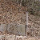 신시리 이미지