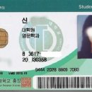 외대영어과외