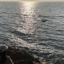 바다캠핑