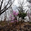 중근농장 이미지