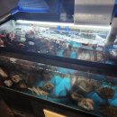 J&D 실내바다낚시터 이미지