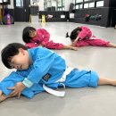 박동원태권도장 이미지