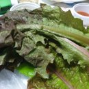 완도회타운 이미지