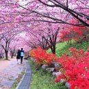 완산-24 이미지