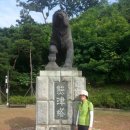 공산성 횡단보도 옆 이미지